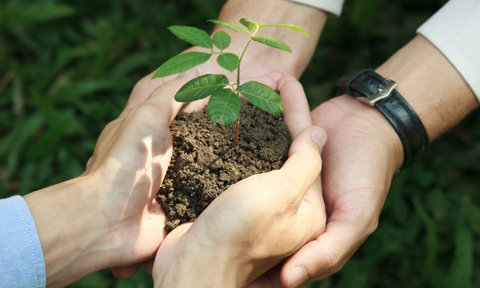 sustainability image
